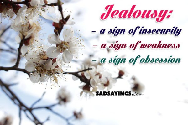 sadsayings-4985